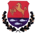 Polgármesteri Hivatal, Somogyaszaló, Somogyaszaló