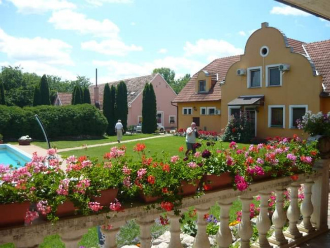 Pegazus Panzió és Lovasfarm, Mohács