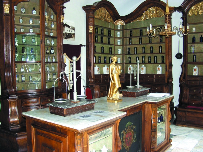 Telekessy Patikamúzeum, Eger