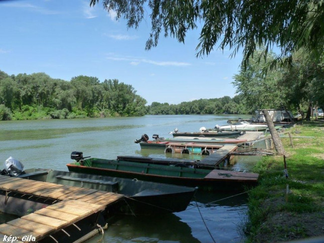 Katamarán Csónakkikötő és Kemping, Tiszafüred (Tiszaszőlős)