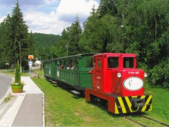 Felsőtárkányi Állami Erdei Vasút, Felsőtárkány