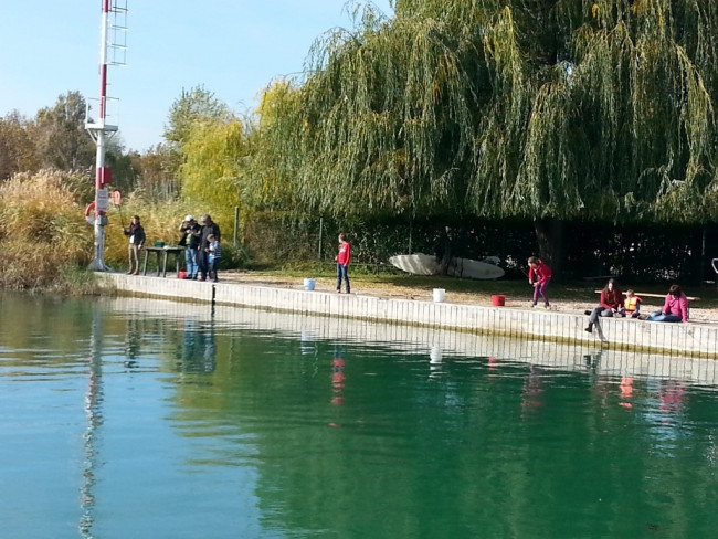 Balatonfűzfői Vitorlázó Sportegyesület, Balatonfűzfő