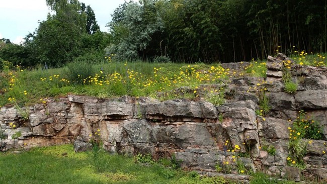 Tatai Geológus Kert – Természetvédelmi Terület és Szabadtéri Geológiai Muzeális Közgyűjtemény, Tata