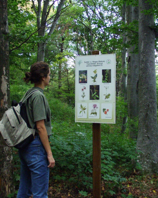 Boroszlán Tanösvény <br/>(Balaton-felvidéki Nemzeti Park Igazgatóság), Bakonybél