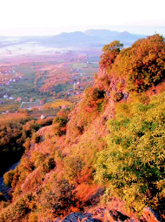 Geológiai és Botanikai Tanösvény<br/>(Balaton-felvidéki Nemzeti Park Igazgatóság)                                                                     , Badacsonytomaj (Badacsony)