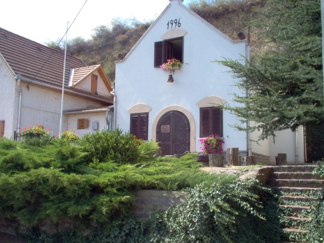 Simon Pince                                                                                                                                           , Tokaj