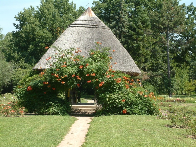 Szegedi Tudományegyetem Füvészkert, Szeged