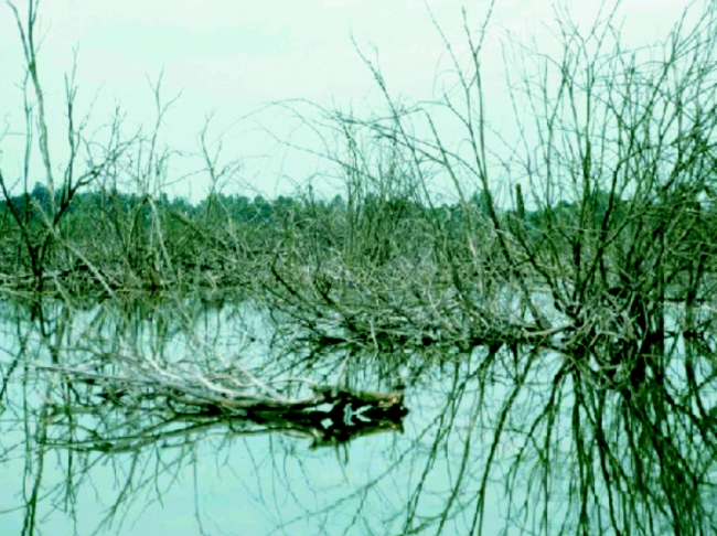 Vönöczky Schenk Jakab Kutatóház<br/>(Balaton-felvidéki Nemzeti Park Igazgatóság), Keszthely (Fenékpuszta)