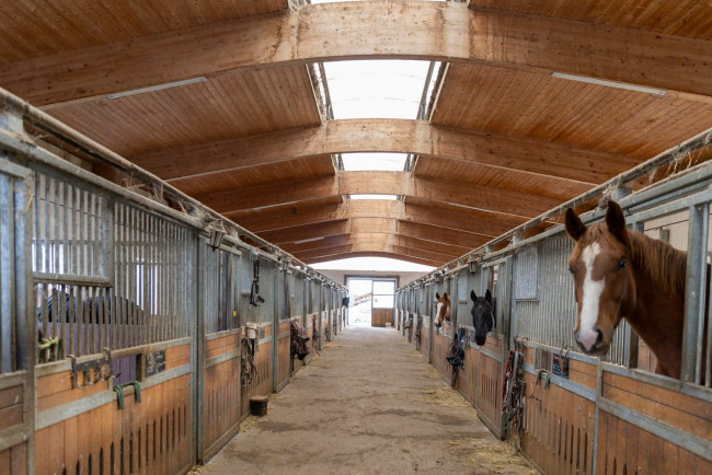 Magyar Lovas Turisztikai Közhasznú Egyesület, Vanyarc