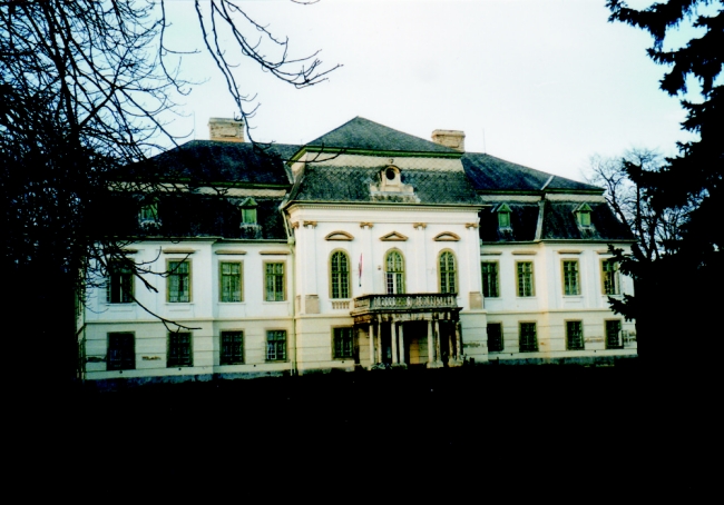 Somogyi-Esterházy-kastély, Lovászpatona