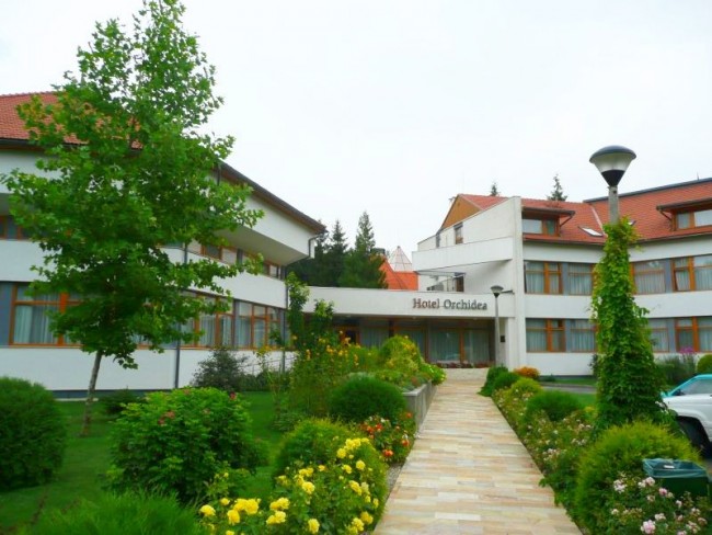 Hotel Orchidea, Tengelic