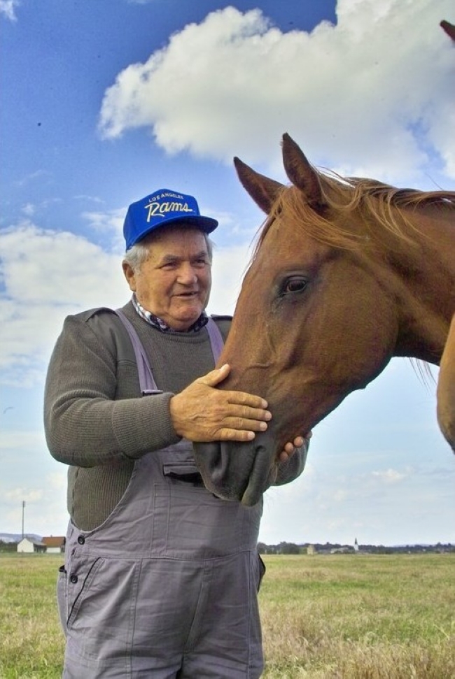 Horváth József Gidrán Lótenyészete                                                                                                                    , Csákvár