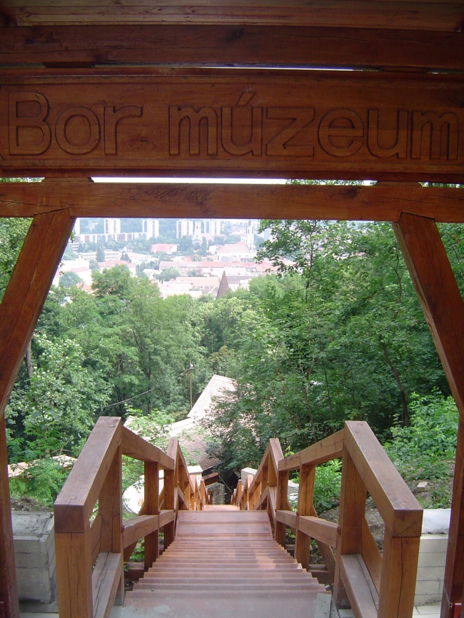 Avasi Bormúzeum és Borvendéglő                                                                                                                        , Miskolc