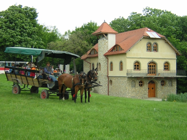 Pusztabuszos Kirándulások a Vértesi Natúrparkban (Pro Vértes Közalapítvány)                                                                           , Csákvár