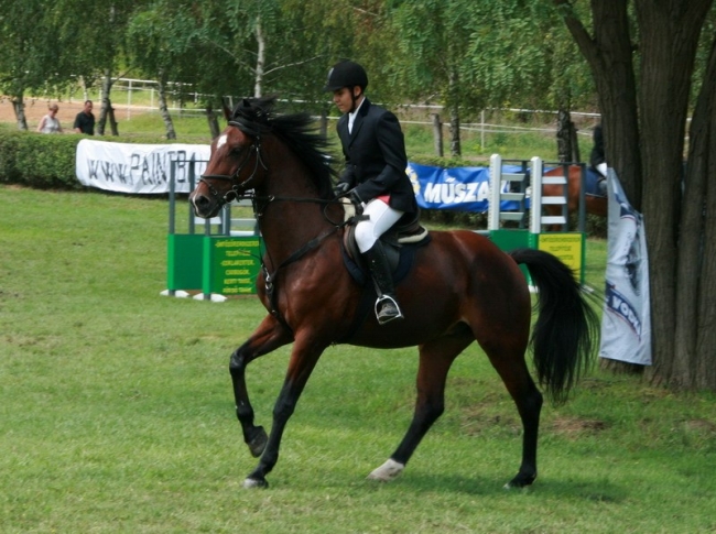 Pegazus Lovasfarm                                                                                                                                     , Mohács