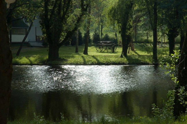 Borostyán Birtok, Szeged (Gyálarét)