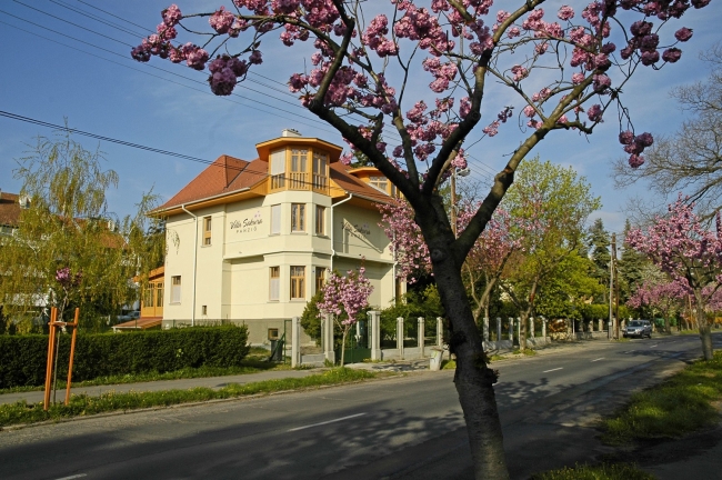 Villa Sakura, Sopron