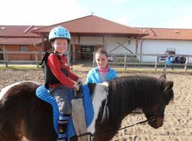 BIOFARM HORSE MOTEL, Kajászó