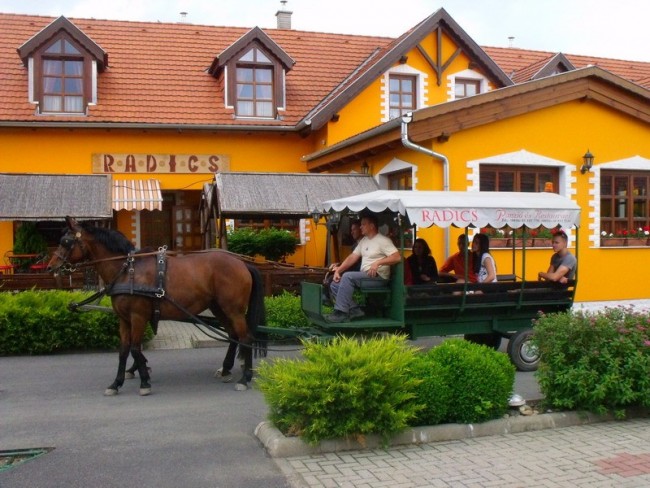 Radics Panzió Étterem és Wellness Központ, Letenye