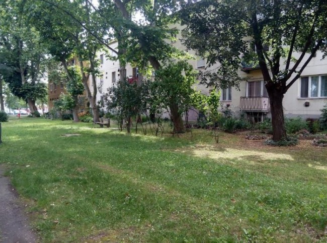 Fészek apartman, Békéscsaba