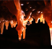 Duna-Ipoly Nemzeti Park Igazgat�s�g