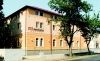 Mandarin Panzi�                                                                                                                                       