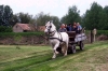 Gemenci Z�ld Pont - Z�ld Pagony Bt.
