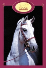 Kincsem Lovaspark Panzió, Tápiószentmárton