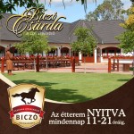 Biczó Csárda & Lovaspanzió, Fülöpszállás