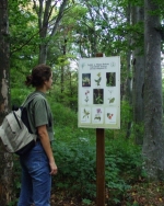 Boroszlán Tanösvény <br/>(Balaton-felvidéki Nemzeti Park Igazgatóság), Bakonybél