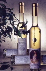 FODORVIN Családi Pincészet, Aszófő