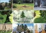 Öreg Fenyő Vendégház                                                                                                                                  , Gencsapáti