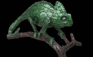 307818_kameleon.jpg