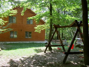 314232_udvar.jpg